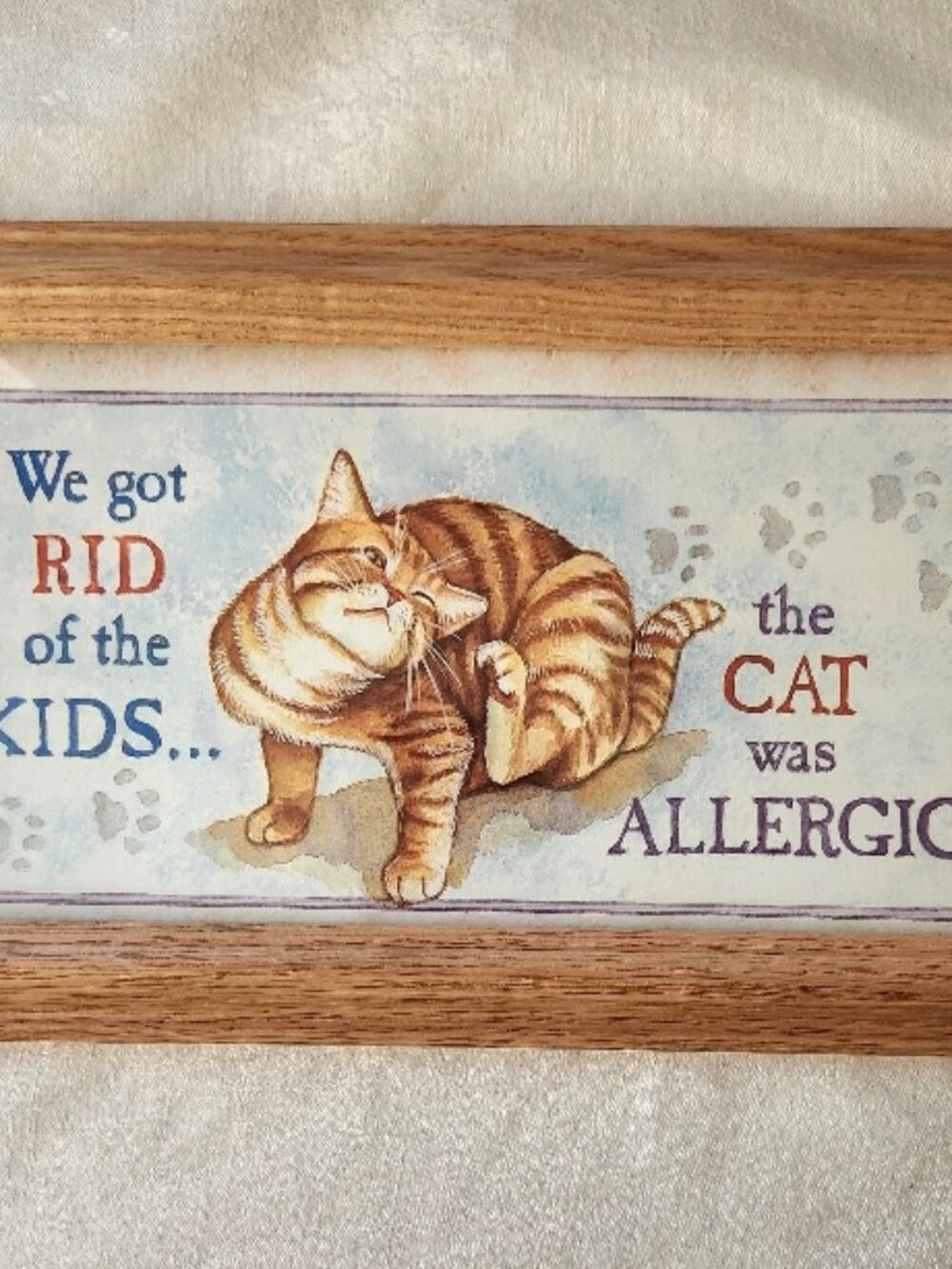 Figi Graphics "We got rid of the Kids the cat was allergic" wall art/decor